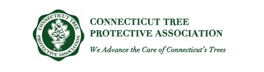 CTPA Summer Meeting 2022